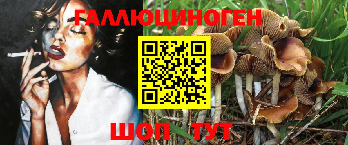 Псилоцибиновые грибы MAGIC MUSHROOMS  Вход с VPN  Нижнеудинск 